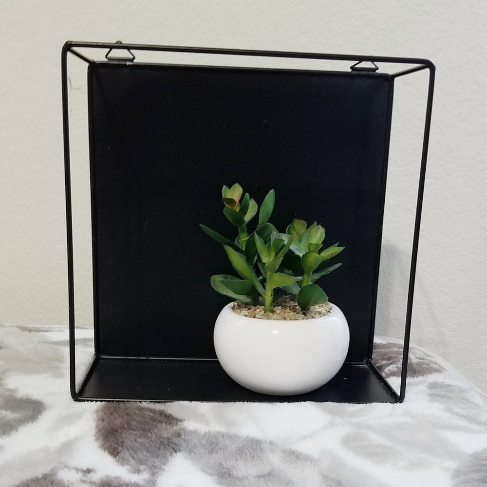 Black Accent Hanging Wall Decor Shelf